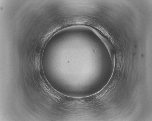 X0000059090386200510071143