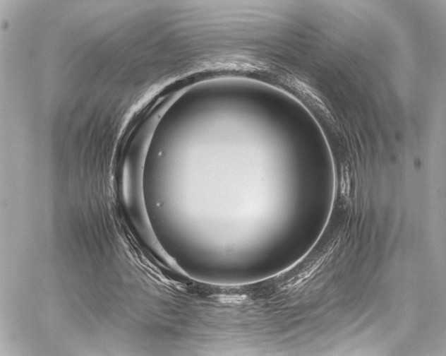 X0000059090388200510071143