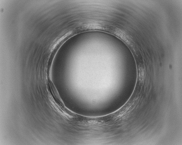 X0000059090390200510071143