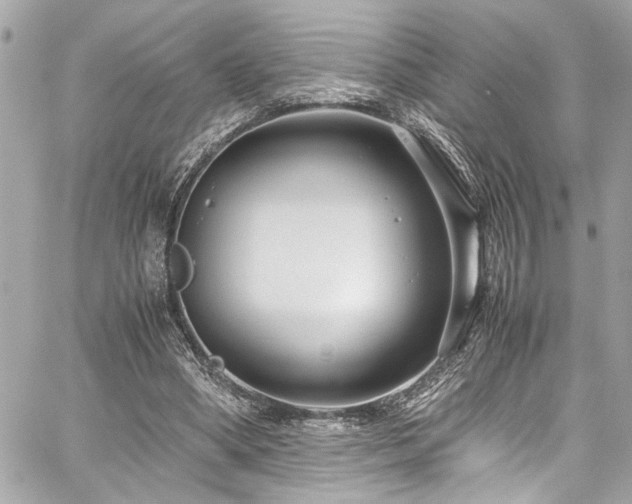 X0000059090394200510071143