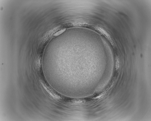 X0000059090405200510071143