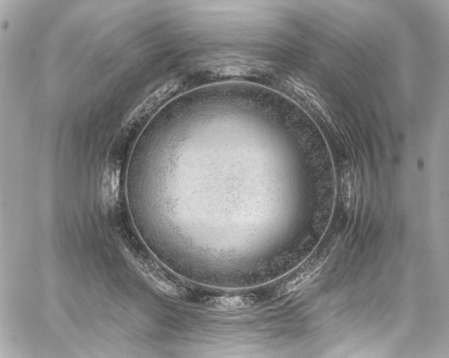 X0000059090406200510071143