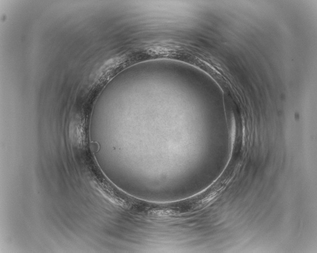 X0000059090408200510071143