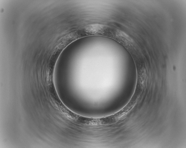 X0000059090420200510071143