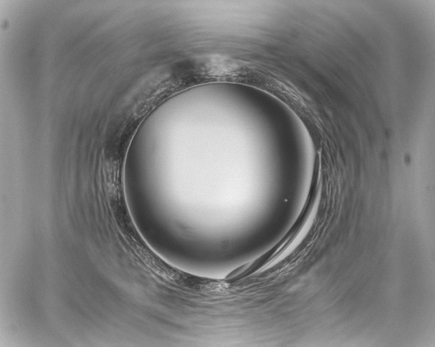 X0000059090421200510071143