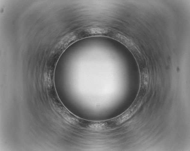 X0000059090422200510071143