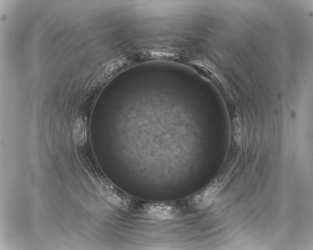 X0000059090471200510071142