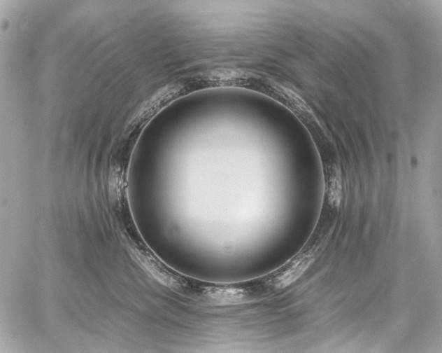 X0000059090476200510071143