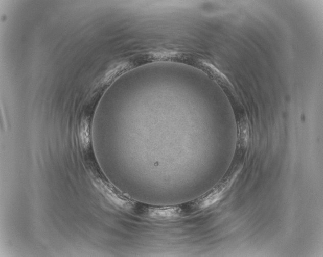 X0000059090479200510071143