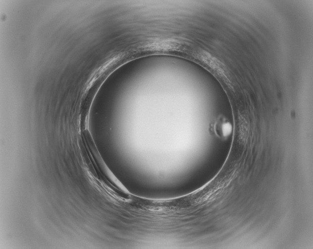 X0000059090486200510071142