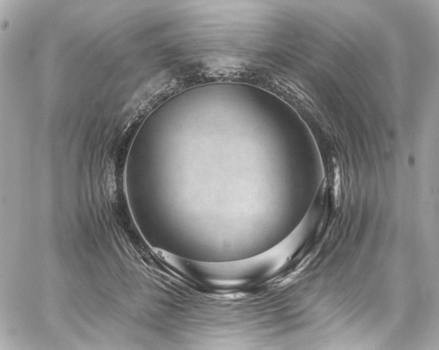 X0000059090508200510071141