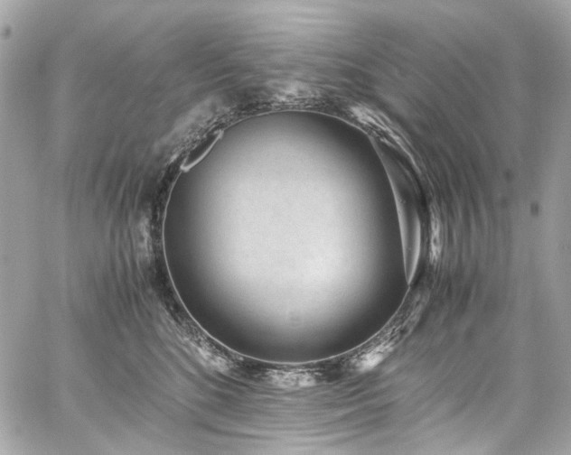 X0000059090520200510071141