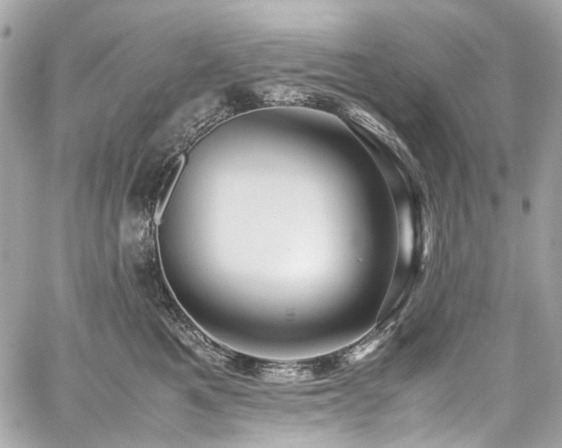 X0000059090521200510071141