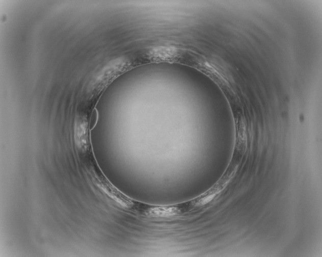X0000059090526200510071141