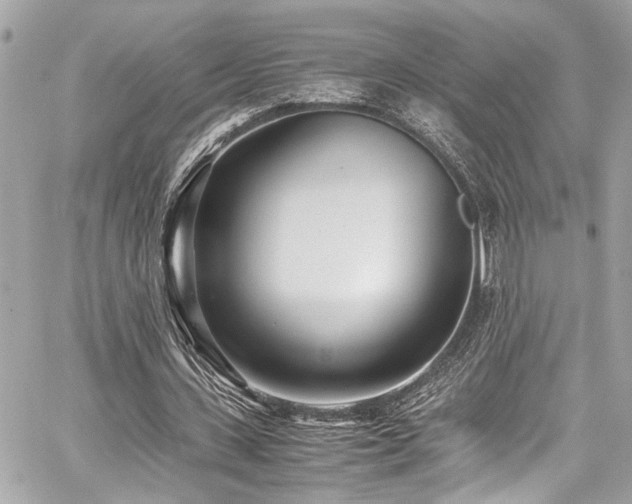 X0000059090531200510071140