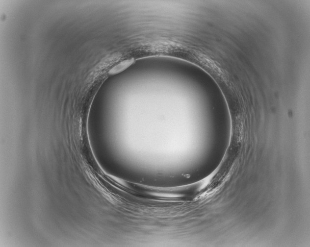 X0000059090589200510071140