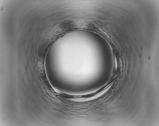 X0000059090609200510071140