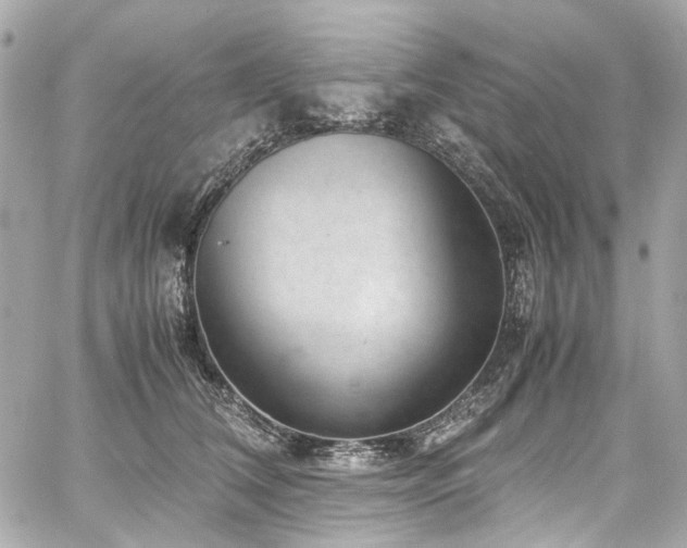 X0000059090612200510071140