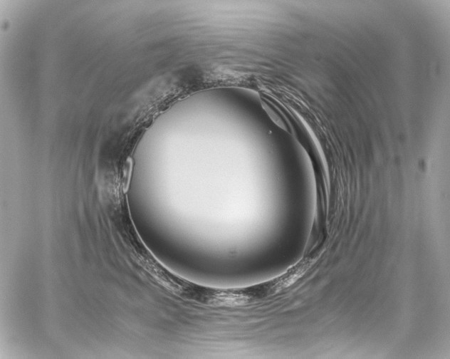 X0000059090617200510071139