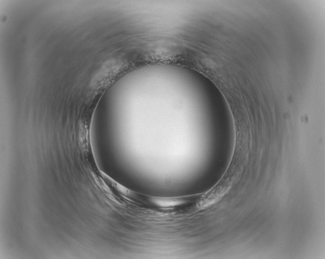 X0000059090624200510071139