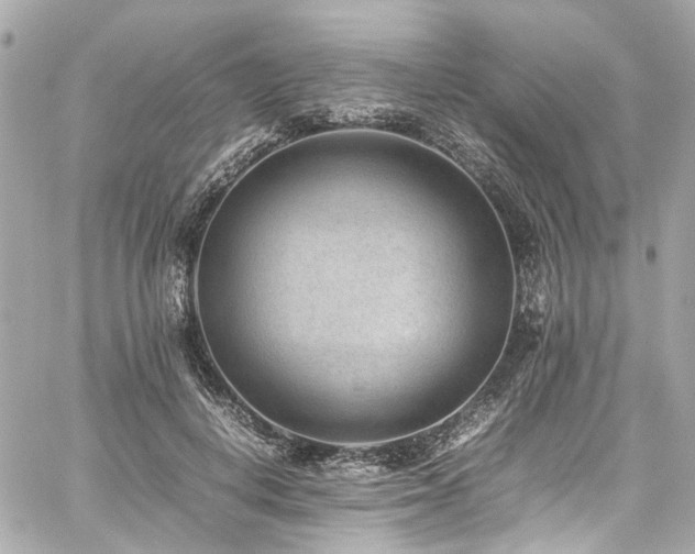 X0000059090648200510071139
