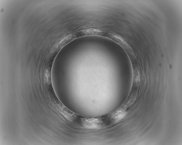 X0000059090669200510071139