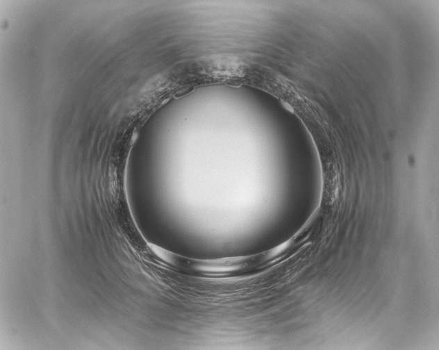X0000059090704200510071138