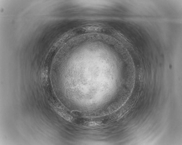 X0000059090737200510071137