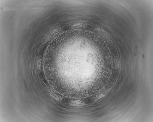 X0000059090753200510071137