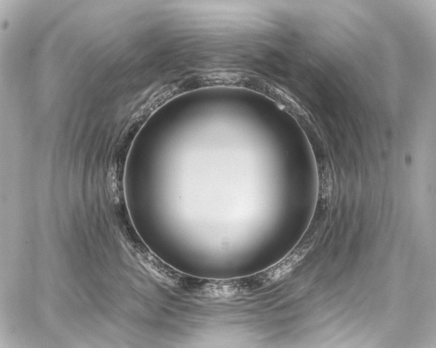 X0000059090764200510071138