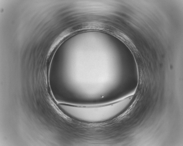 X0000059090796200510071136