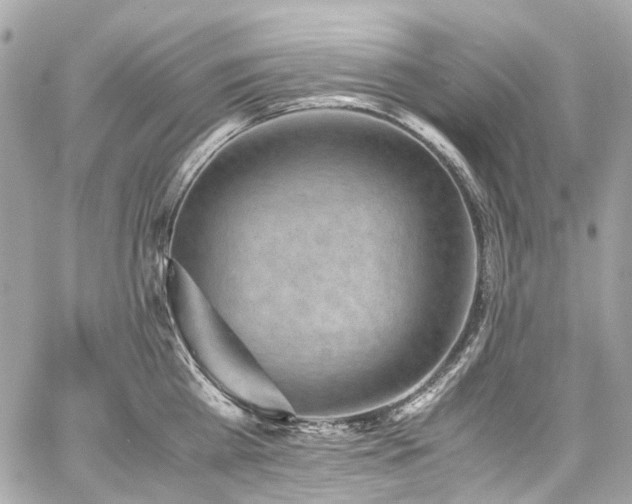 X0000059090809200510071136