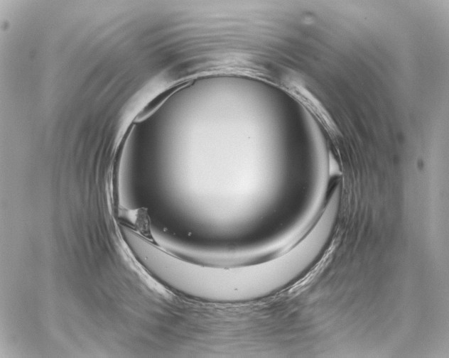X0000059090812200510071136