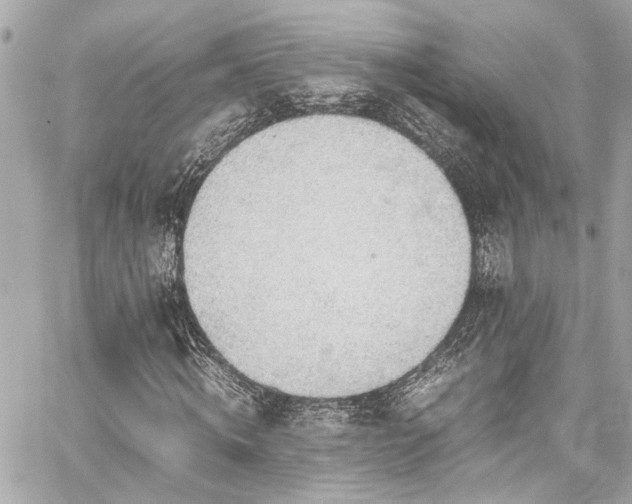 X0000059090820200510071135