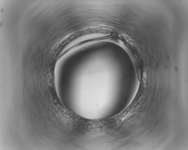 X0000059090822200510071135