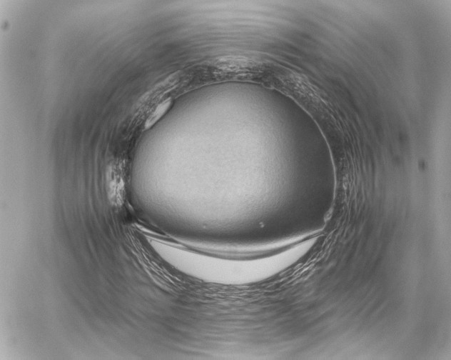 X0000059090868200510071135