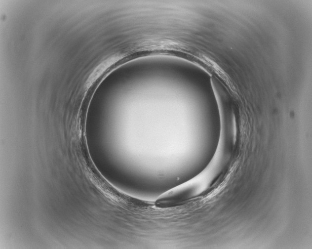 X0000059090885200510071135
