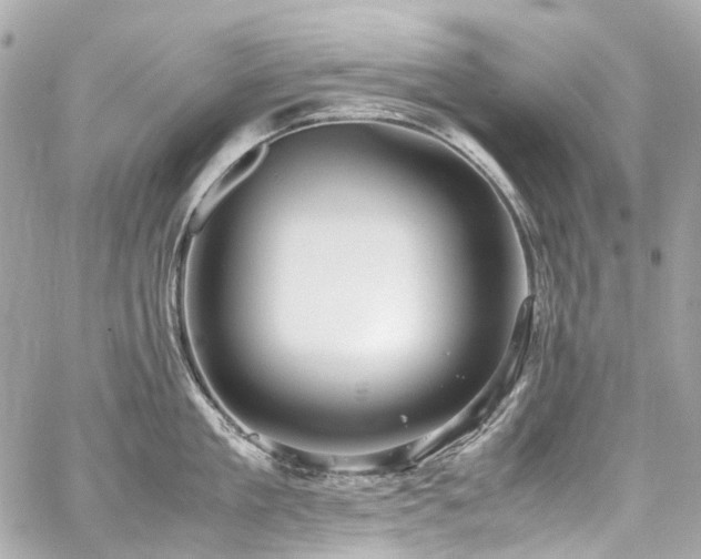 X0000059090909200510071135
