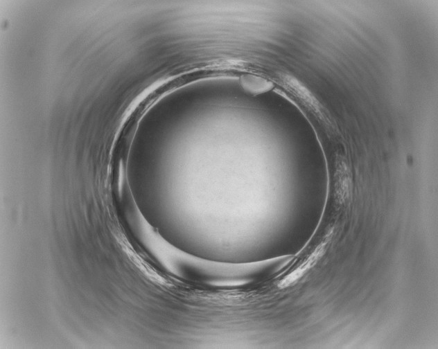X0000059090932200510071134