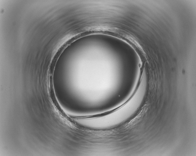 X0000059090984200510071133