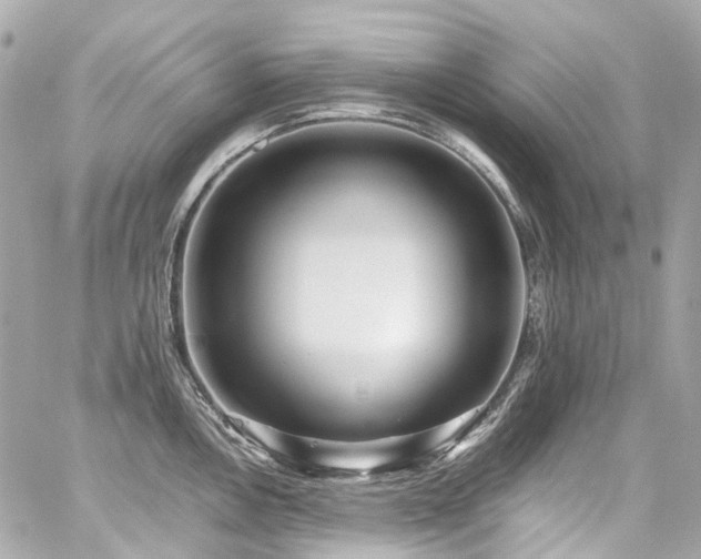X0000059091146200510071131