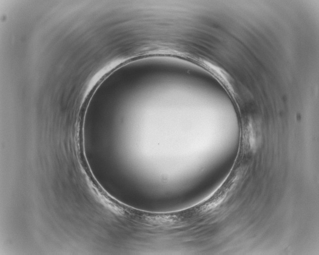 X0000059091149200510071131
