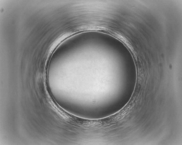 X0000059091187200510071130