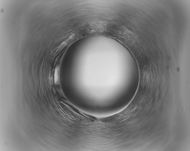 X0000059091250200510071129