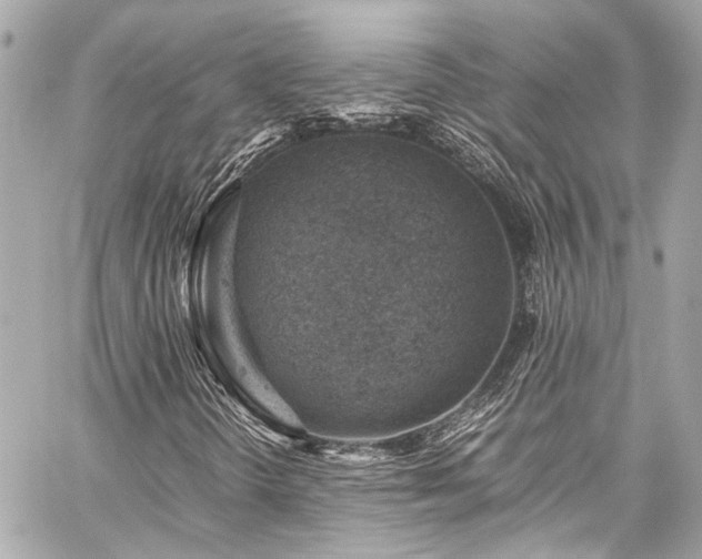 X0000059091298200510071127