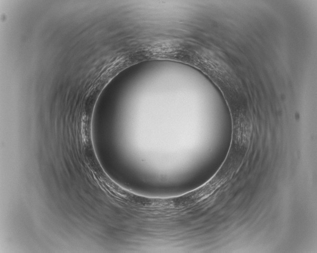 X0000059091346200510071127
