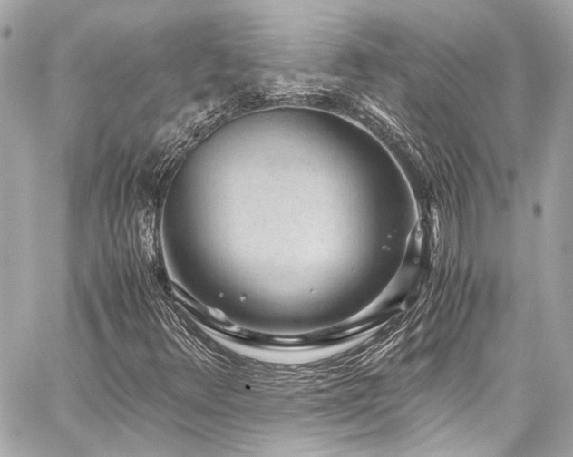 X0000059091348200510071127