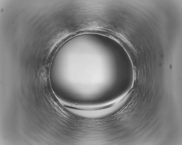X0000059091356200510071127