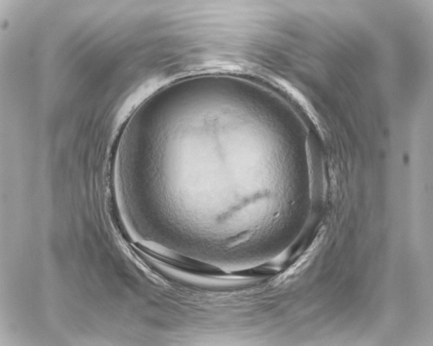 X0000059091373200510071127