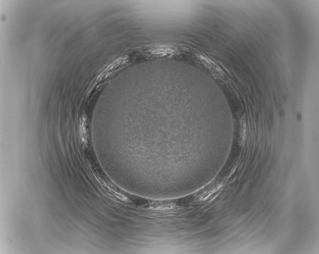 X0000059091394200510071126